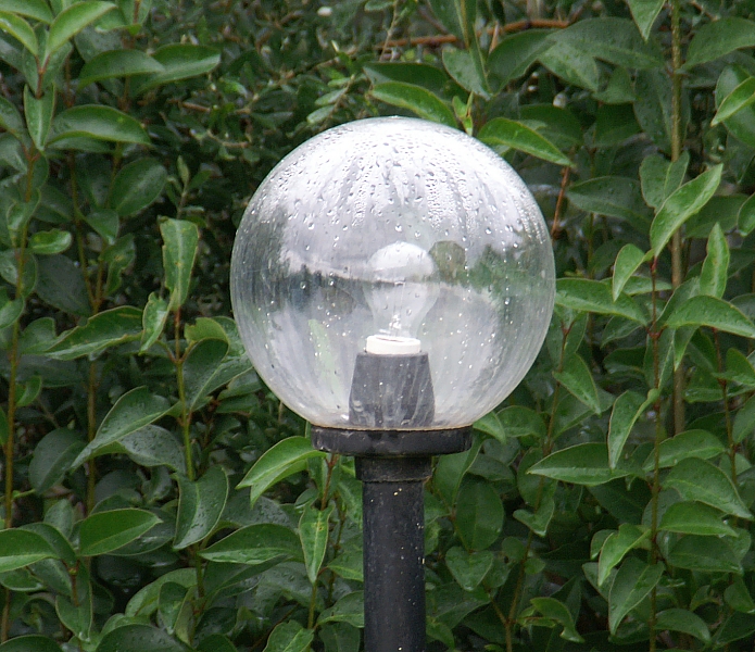 PICT1435 small KALYVES RAIN LAMP cropped.jpg - 376355 Bytes